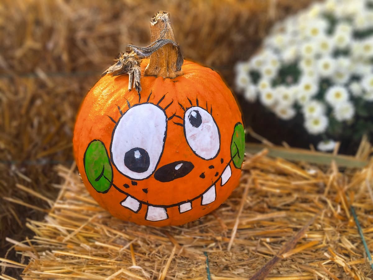 Calabazas Pintadas: Una Alternativa Colorida al Tallado Tradicional